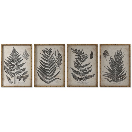 Cuadro Home ESPRIT Cristal Abeto 50 x 3 x 70 cm 50 x 2,5 x 70 cm